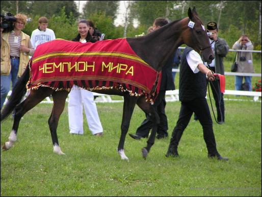Pelen  World Champion 2003, ring of adult mares